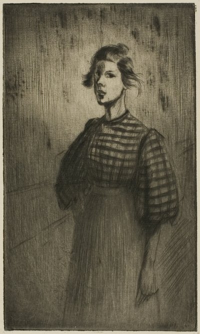 Praktykant autorstwa Théophile Alexandre Pierre Steinlen