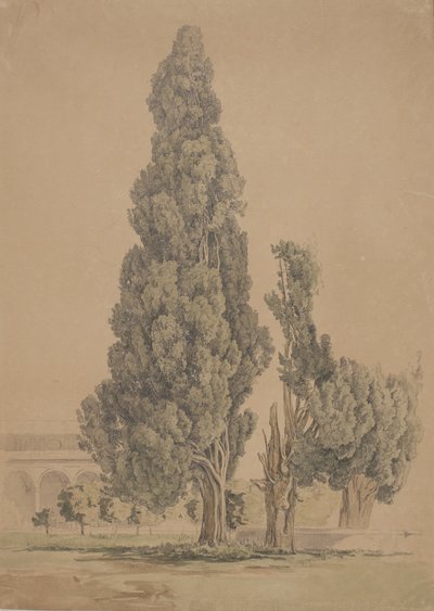 Cyprysy autorstwa Thorald Brendstrup