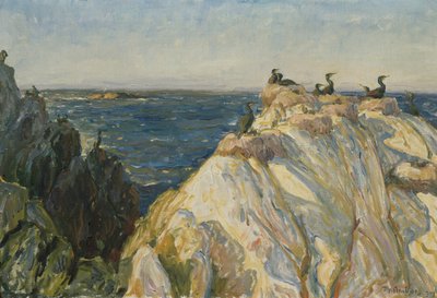 Ptak morski autorstwa Thorolf Holmboe