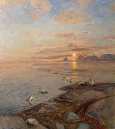 Ptaki morskie w słońcu o północy (olej na płótnie) autorstwa Thorolf Holmboe