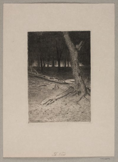 Wnętrze lasu. Wieczór autorstwa Thorvald Niss