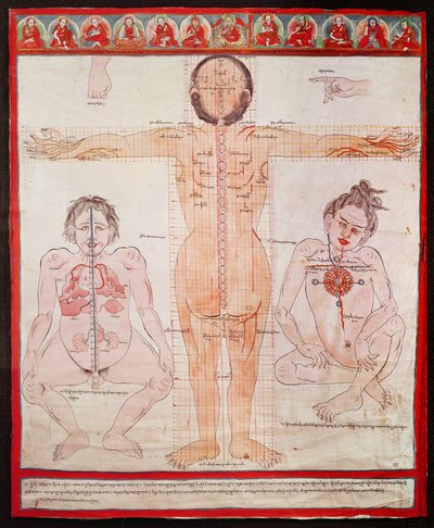 Wykres anatomiczny, 1938 (pióro i akwarela na płótnie ułożonym na płótnie) autorstwa Tibetan School