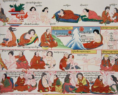 Rękopis dotyczący medycyny tybetańskiej (szczegół z 389729) autorstwa Tibetan School