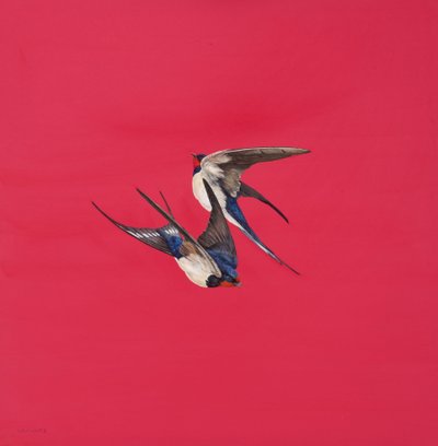 Wir-czerwony, akwarela i gwasz na tablicy akwarelowej, 50,8 x 50,8 cm autorstwa Tim Hayward