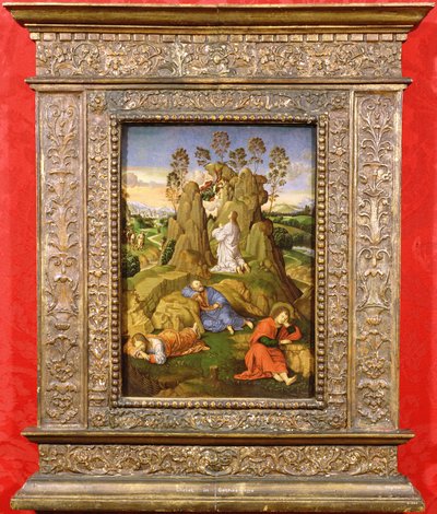 Chrystus w Getsemani, ok. 1510 (olej na desce) autorstwa Timoteo Viti