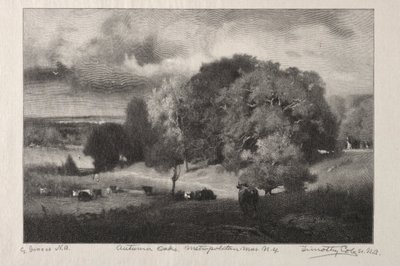 Jesienne dęby autorstwa Timothy Cole