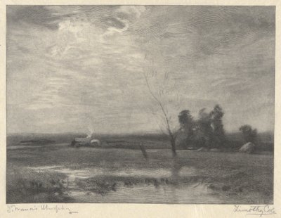 Krajobraz, popołudnie autorstwa Timothy Cole