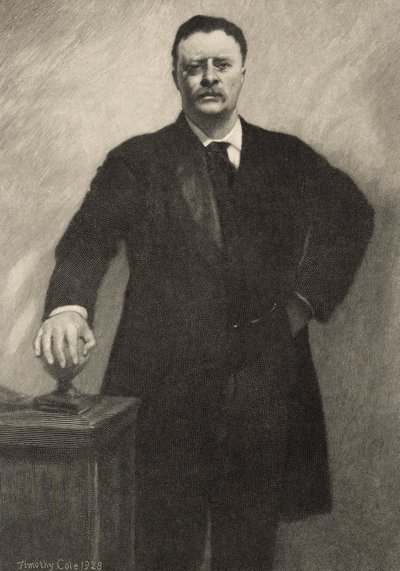 Theodore Roosevelt, 1928 autorstwa Timothy Cole