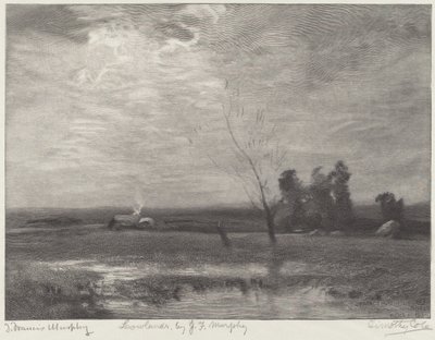 Niziny autorstwa Timothy Cole after John Francis Murphy