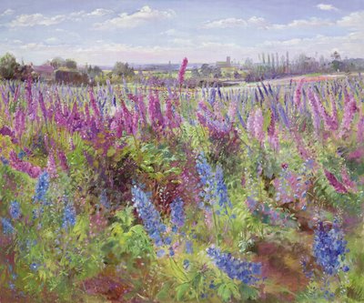 Pole i kościół Delphinium autorstwa Timothy Easton