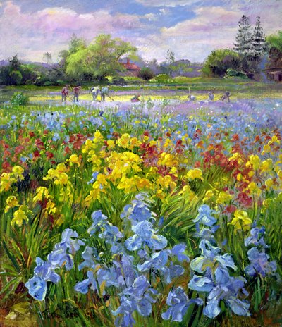 Hoeing Team i Iris Fields autorstwa Timothy Easton