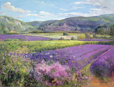 Lawendowe pola w Starej Prowansji autorstwa Timothy Easton