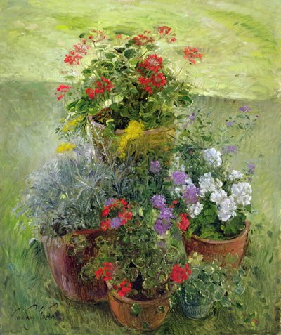 Doniczki Cieniowane (olej na płótnie) autorstwa Timothy Easton