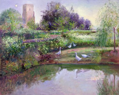 Odbicia o zachodzie słońca autorstwa Timothy Easton