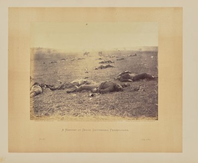 Żniwa śmierci, Gettysburg, Pensylwania autorstwa Timothy H. OSullivan