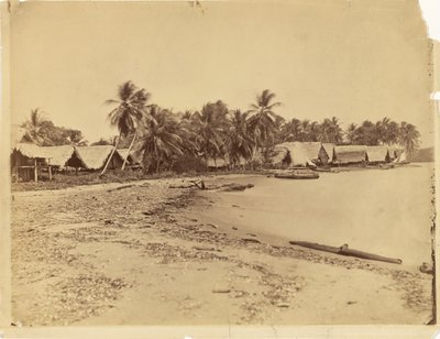[Chaty, palmy i plaża, Itshumus w Darién (Panama)] autorstwa Timothy H. O