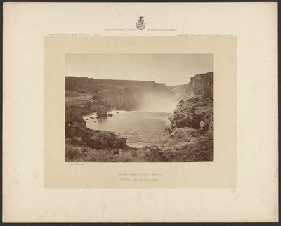 Snake River Cañon, Idaho, widok znad wodospadu Shoshone Falls autorstwa Timothy H. OSullivan
