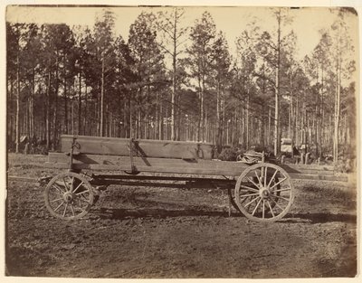  autorstwa Timothy H. O