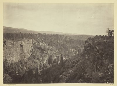 North Fork Cañon, Sierra Blanca Creek, Arizona autorstwa Timothy O