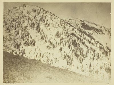 Snow Peaks, okręg górniczy Bull Run, Nevada autorstwa Timothy O