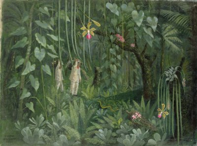 Łowcy orchidei z Brazylii autorstwa Tirzah Ravilious