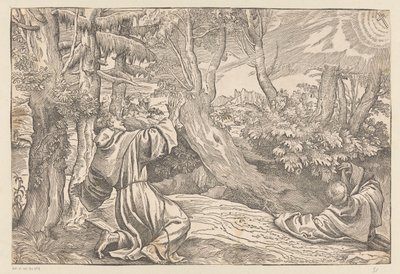 Św. Franciszek otrzymuje stygmaty autorstwa Titiaan