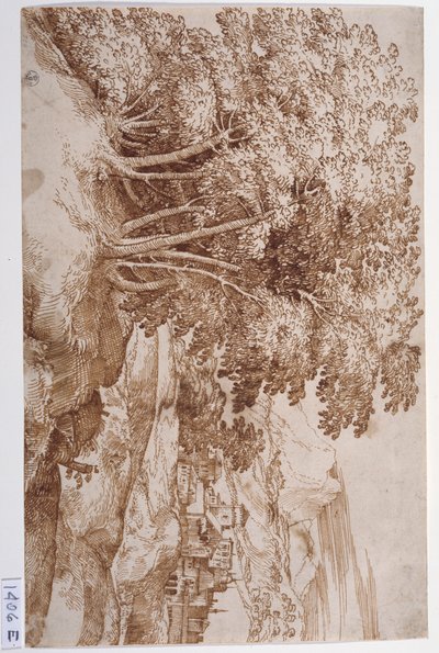 Krajobraz z drzewami po lewej i miastem w tle (pióro i tusz na papierze) autorstwa Titian (c.1488 1576)