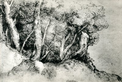 Krajobraz leśny, c1516-1518, 1937 autorstwa Tiziano Vecelli