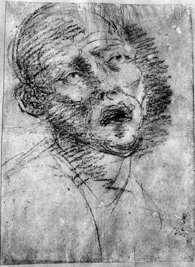 Głowa Maura, c1525, 1937 autorstwa Tiziano Vecelli