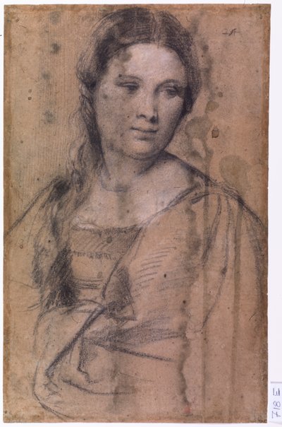 Portret młodej dziewczyny autorstwa Tiziano Vecelli