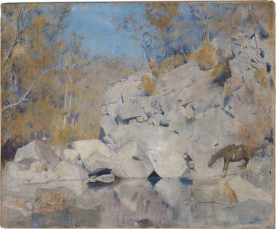 W rogu na Macintyre, 1895 autorstwa Tom Roberts