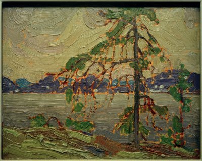 The Jack Pine (Skizze) autorstwa Tom Thomson