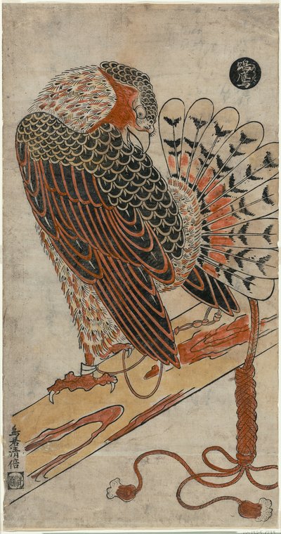 Sparrowhawk (Konori taka) autorstwa Torii Kiyomasu I