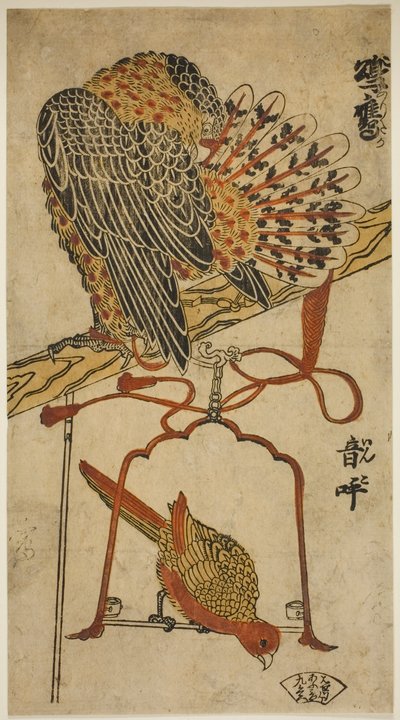Krogulec i Ara (Krogulc i Ara) autorstwa Torii Kiyomasu I