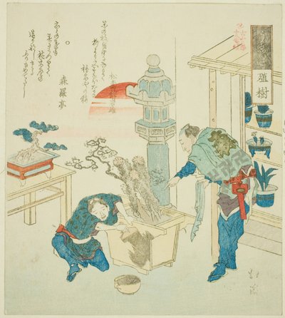 Roślina doniczkowa (Ueki), z serii „Osiemnaście ilustracji drabiny starożytnych słów (Kogentei juhachiban tsuzuki)” autorstwa Totoya Hokkei