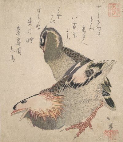 Dwa ptaki. autorstwa Totoya Hokkei