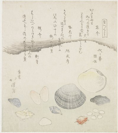 Vergeten schelp, pruimenbloesem schelp en kersen schelp Wasuregai, umenohanagai, sakuragai (title on object) Een serie van schelpen (series title) Kaitsukushi (series title on object)   1367703   pl       polish Successfully Translated  Original: Wijd land autorstwa Totoya Hokkei