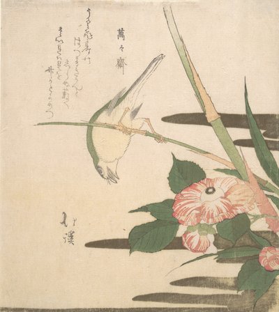 Pokrzewka i Kamelia, ca. 1815-20. autorstwa Totoya Hokkei