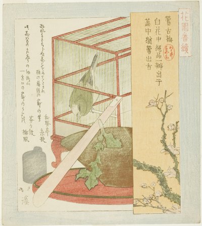 Pokrzewka w klatce, z serii „Seria A dla grupy Hanazono (Hanazono bantsuzuki)” autorstwa Totoya Hokkei