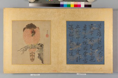 Album z jastrzębiami i kaligrafią autorstwa Tsunenobu Kano