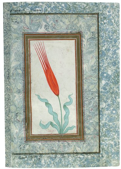 Strona z albumu Turkish Tulip, Istambuł, 1725 autorstwa Turkish School