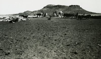 Widok obszaru archeologicznego Naqa z dromaderami i bydłem, Sudan, zdjęcie Ugo Monneret de Villard autorstwa Ugo Monneret de Villard