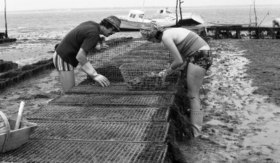 6080 C18 Ostregrower w Vendee Oyster sierpień 1974 autorstwa Unbekannt