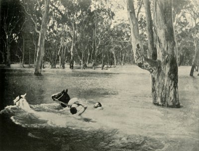 Bankier, 1901. autorstwa Unbekannt