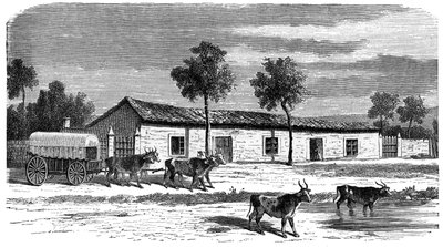 Farma Burów, Republika Południowej Afryki, ok. 1890 r. autorstwa Unbekannt
