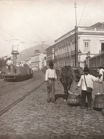 Scena uliczna Botafogo, Rio, 1914 autorstwa Unbekannt