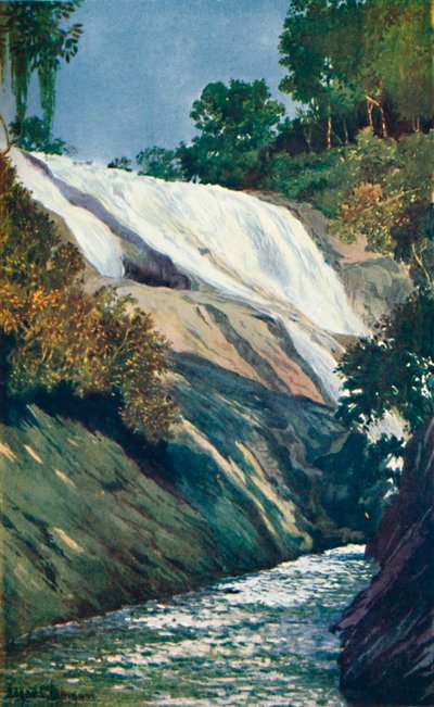 Kaskada do Tijuca, Rio, 1914 autorstwa Unbekannt