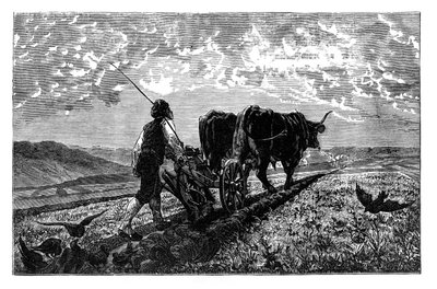 Rolnik francuski, ok. 1890 r. autorstwa Unbekannt