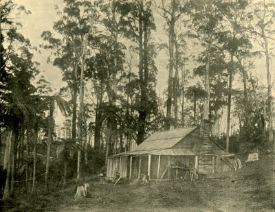 Mieszkanie w stylu rustykalnym, 1901. autorstwa Unbekannt