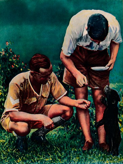 Singapurska maskotka RAF, 1940 autorstwa Unbekannt